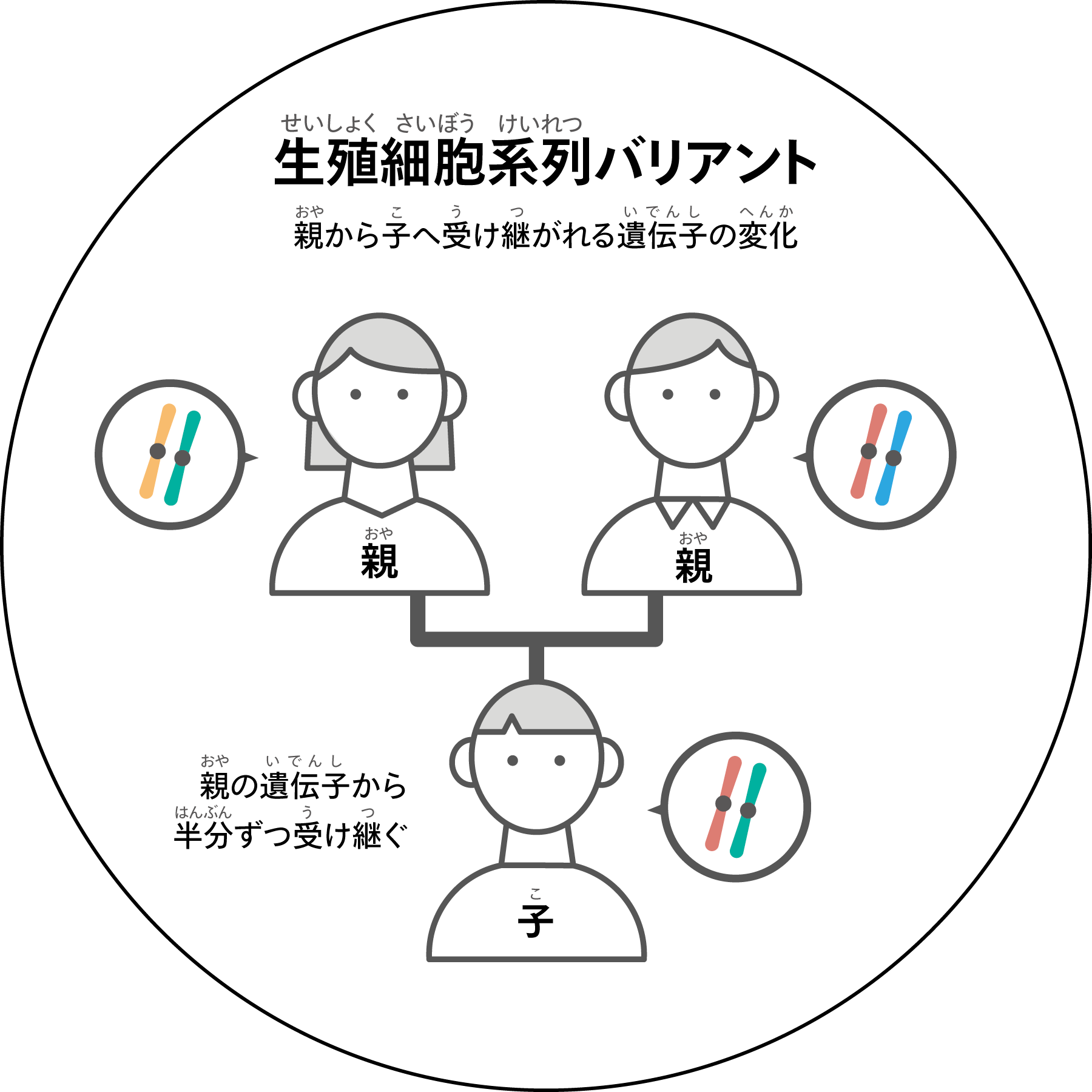 生殖細胞系列バリアント