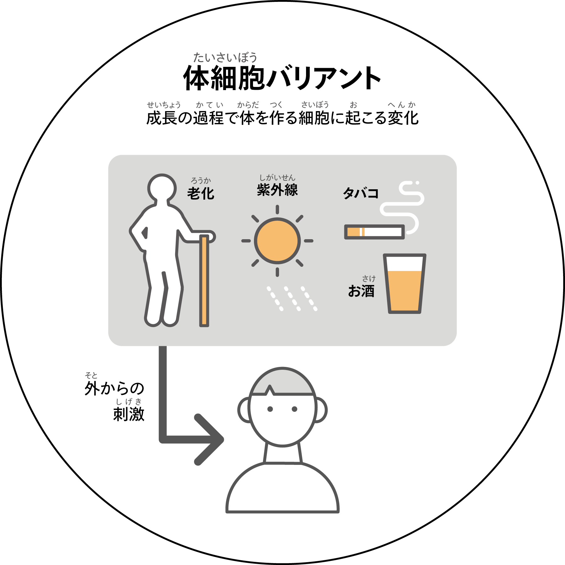 体細胞バリアント